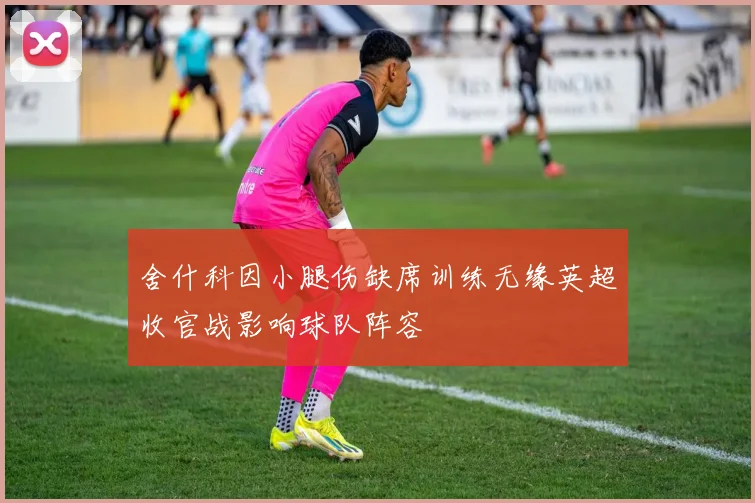 舍什科因小腿伤缺席训练无缘英超收官战影响球队阵容